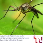 Ubushinwa: Muri Iki Gitondo Cyo Kuwa Kabiri, Umutingito Wibasiye Agace Ka Tibet Ko Mubushinwa