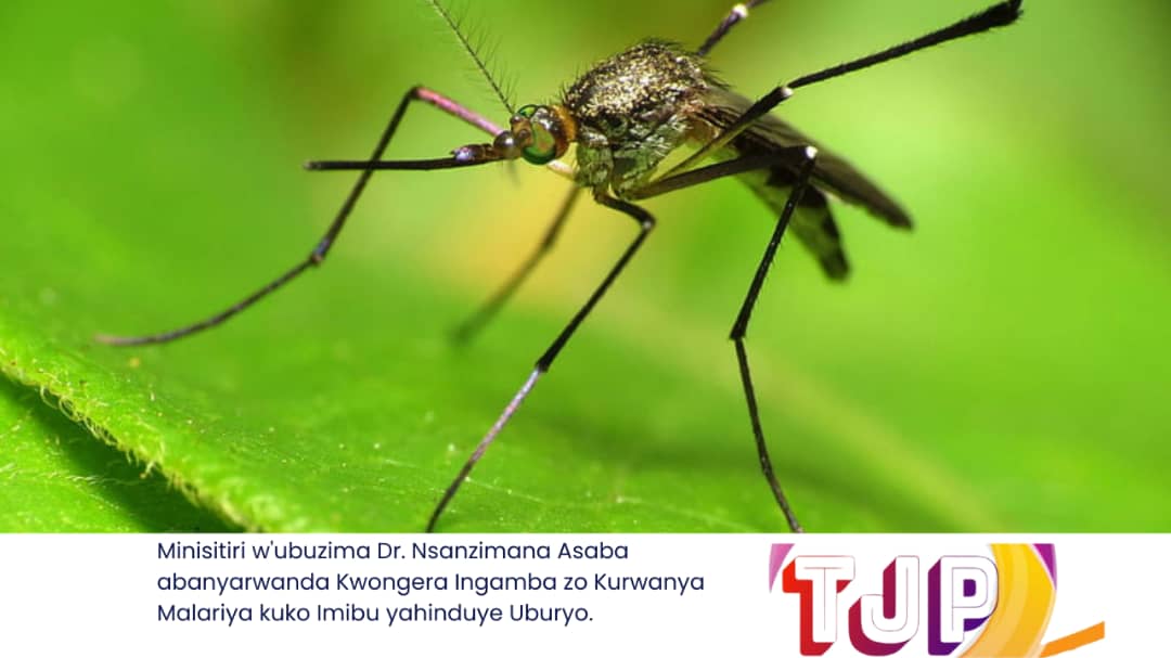Minisitiri w’ubuzima Dr. Sabin Nsanzimana Asaba abanyarwanda Kwongera Ingamba zo Kurwanya Malariya kuko Imibu yahinduye Uburyo.