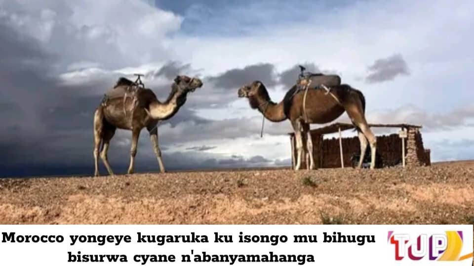Morocco iri ku isongo mu bihugu bisurwa cyane n’abanyamahanga:urutonde rushya