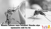 Uko ingana Niko igendwa: Menya imijyi ituwe n’abantu benshi muri afurika