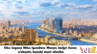 Abantu babana nayo batabizi: Umubu niyo nyamaswa mbi ku isi