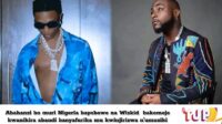 Abantu babana nayo batabizi: Umubu niyo nyamaswa mbi ku isi